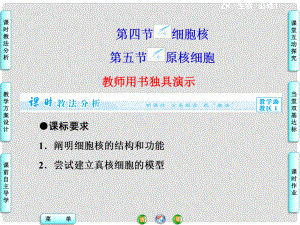 高中生物 第2章 第4+5節(jié) 細(xì)胞核 原核細(xì)胞同步備課課件 浙科版必修1