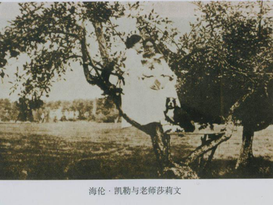 江蘇省南京市長(zhǎng)城中學(xué)八年級(jí)語(yǔ)文下冊(cè) 5 再塑生命課件 新人教版_第1頁(yè)