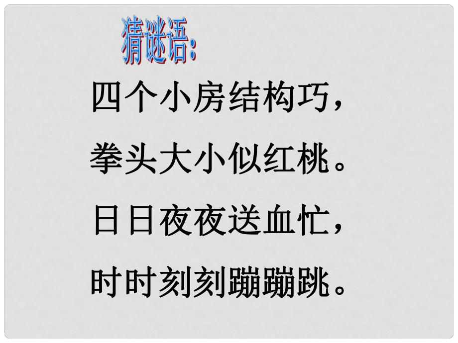 山東省濱州市博興縣呂藝鎮(zhèn)第一中學(xué)七年級(jí)生物下冊(cè) 第二節(jié) 物質(zhì)運(yùn)輸?shù)钠鞴?心臟課件 濟(jì)南版_第1頁(yè)