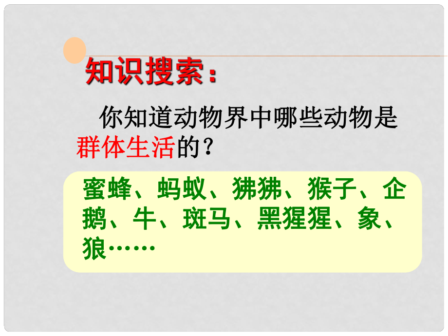 黑龍江省哈爾濱市第四十一中學(xué)八年級生物上冊 第五單元 第二章 第三節(jié) 社會行為課件 新人教版_第1頁