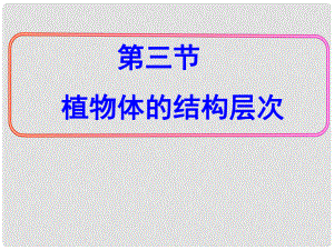 七年級生物上冊 第二單元 第二章 第三節(jié) 植物體的結(jié)構層次課件 新人教版