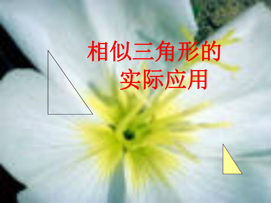 九年级数学上：19.7 相似三角形的应用 课件（北京课改版）_第1页