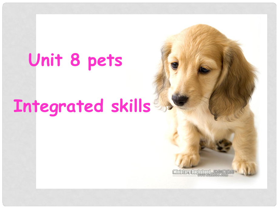 江蘇省永豐初級中學(xué)七年級英語下冊 Unit 8 Pets Integrated skills課件2 （新版）牛津版_第1頁