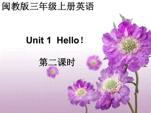 閩教版小學(xué)英語三年級上冊Unit 1Hello課件2