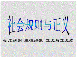 浙江省溫州市泰順縣新浦中學(xué)八年級(jí)政治下冊(cè) 第八單元 第二課 社會(huì)規(guī)則與正義課件 粵教版