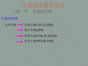 高考生物總復(fù)習(xí) 生物的生殖 ppt