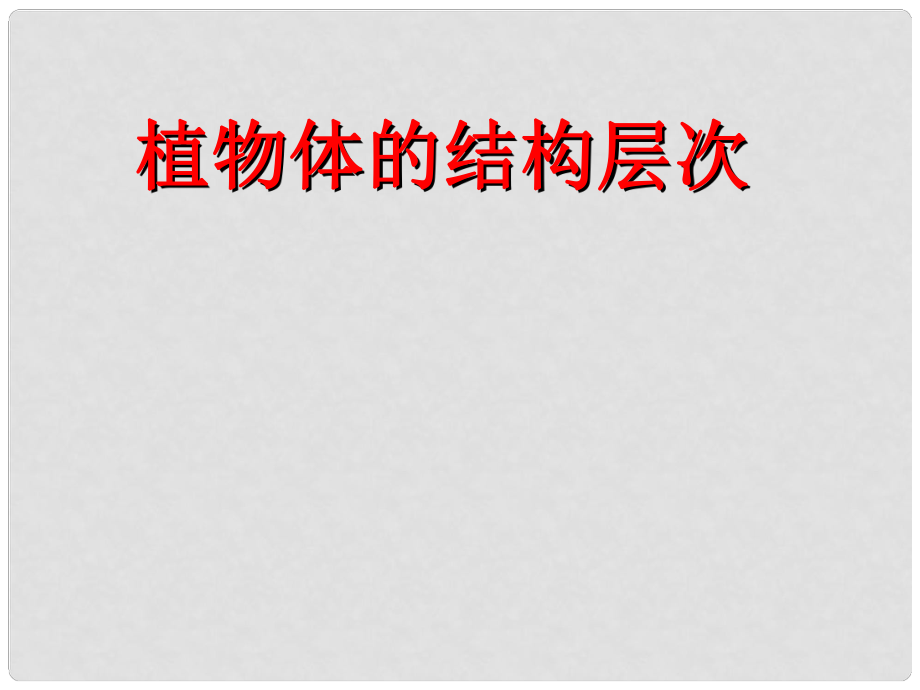 江西省贛縣第二中學(xué)七年級(jí)生物上冊(cè) 223 植物體的結(jié)構(gòu)層次課件 新人教版_第1頁(yè)