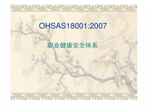 OHSAS18001业健康安全体系