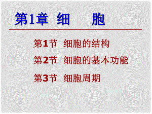 浙江省杭州市周浦中學七年級科學上冊 第1章 細胞課件 浙教版