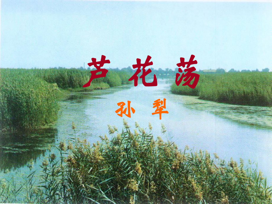 山東省青島市經(jīng)濟技術(shù)開發(fā)區(qū)育才初級中學八年級語文上冊 2 蘆花蕩課件 新人教版_第1頁