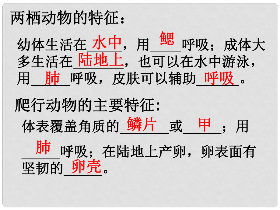 山东省平度市郭庄镇郭庄中学八年级生物上册 第一章 第六节 鸟课件 （新版）新人教版_第1页