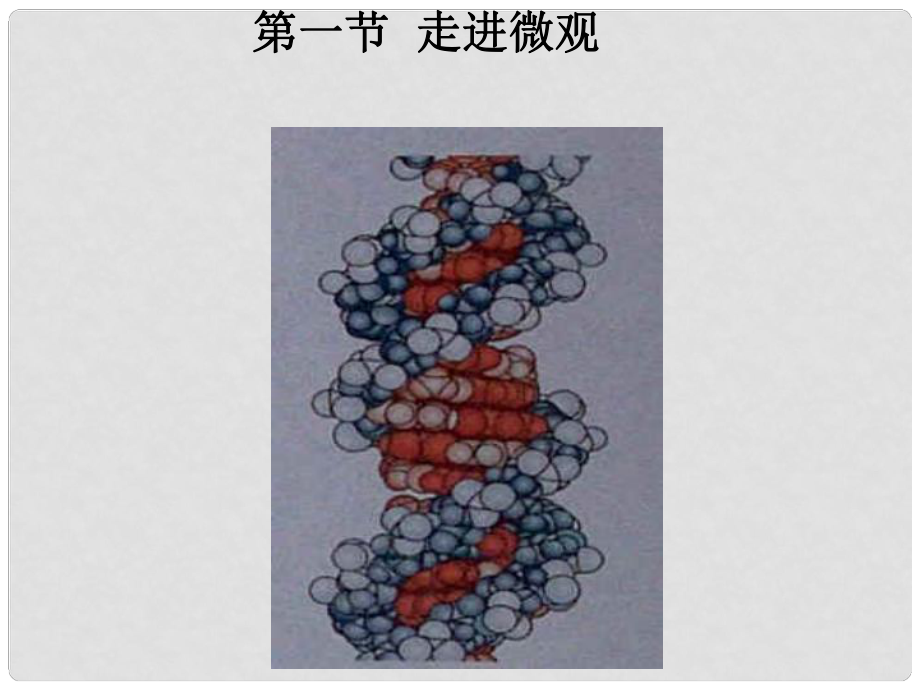 八年級物理下冊 101《 走進微觀》課件滬科版_第1頁