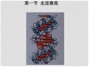 八年級(jí)物理下冊(cè) 101《 走進(jìn)微觀》課件滬科版