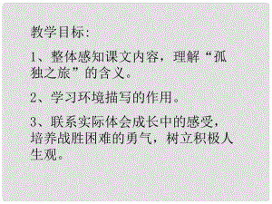 浙江省樂清市育英寄宿學校九年級語文上冊 第10課《孤獨之旅》課件 新人教版