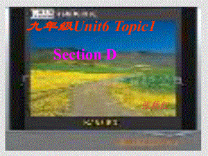 九年級英語下Unit6 Topic 1 Section D課件 ’仁愛版