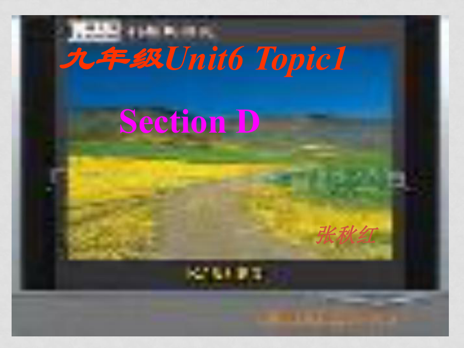 九年級英語下Unit6 Topic 1 Section D課件 ’仁愛版_第1頁