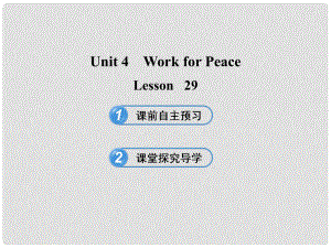 九年級英語下冊 Unit 4 Work for Peace Lesson 29課件 冀教版