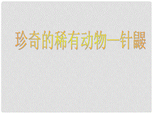 貴州省鳳岡縣第三中學七年級語文下冊 第5單元 珍奇的稀有動物課件 語文版