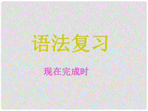 江苏省宿迁市泗阳县南刘集中学中考英语 现在完成时复习课件 牛津版