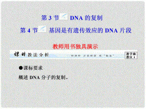 高中生物 第3章 第3、4節(jié) DNA的復(fù)制課件 新人教版必修2