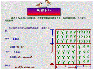 安徽省安慶市桐城呂亭初級(jí)中學(xué)八年級(jí)數(shù)學(xué)上冊(cè) 完全平方公式課件 新人教版