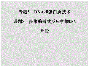 高中生物 專題五 課題2 多聚酶鏈?zhǔn)椒磻?yīng)擴(kuò)增DNA片段課件 新人教版選修1