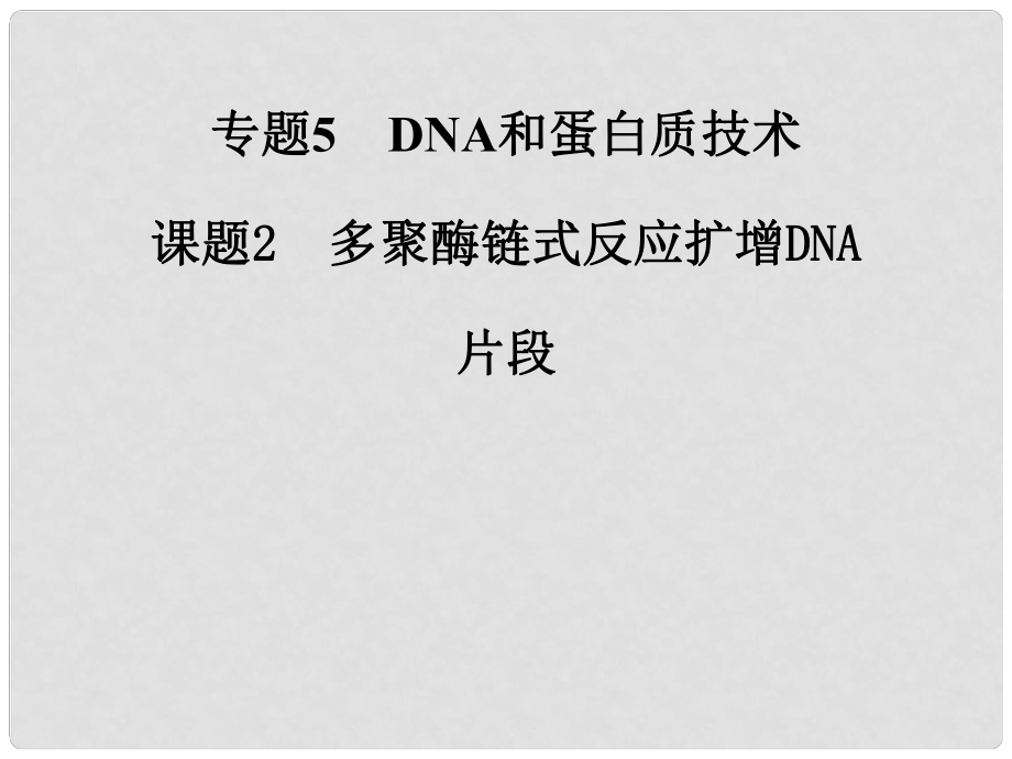 高中生物 專題五 課題2 多聚酶鏈?zhǔn)椒磻?yīng)擴(kuò)增DNA片段課件 新人教版選修1_第1頁