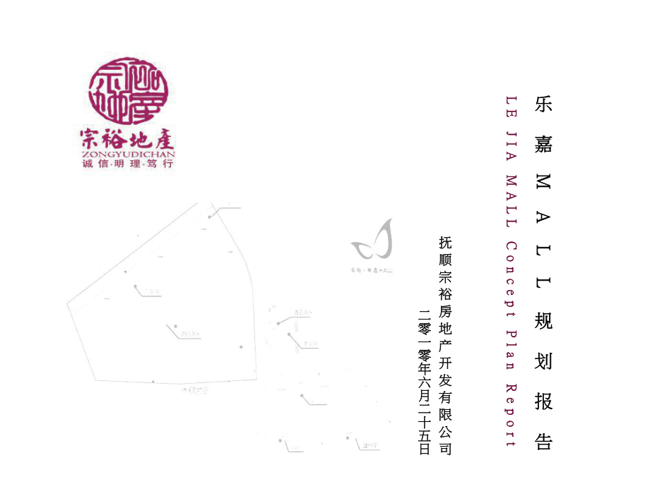 辽宁抚顺乐嘉MALL项目城市规划设计策划报告 80P_第1页