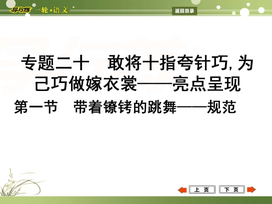 高考語(yǔ)文一輪復(fù)習(xí) 專題20 敢將十指夸針巧,為己巧做嫁衣裳 亮點(diǎn)呈現(xiàn) 第1節(jié) 帶著鐐銬的跳舞 規(guī)范課件_第1頁(yè)