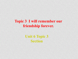 九年級英語下冊Unit 6 Entertainment and Friendship Topic 3 Section A 課件湘教版