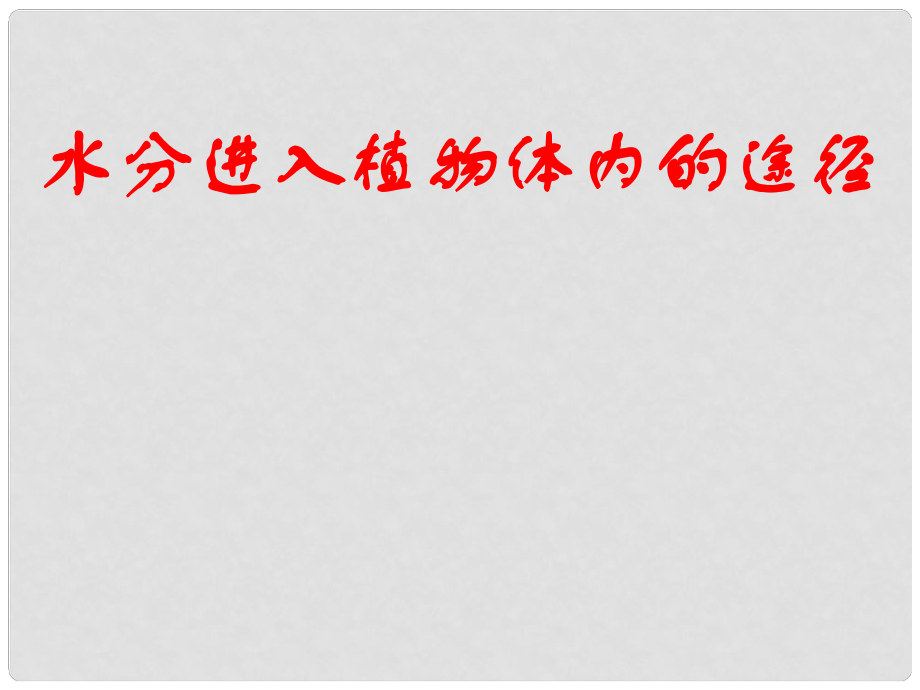 江西省贛縣第二中學七年級生物上冊 332 水分進入植物體內的途徑課件 新人教版_第1頁