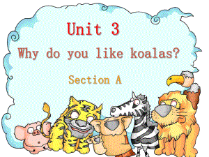 七年级英语下册 Unit 3 Why do you like koalas Section A 课件 (ppt)