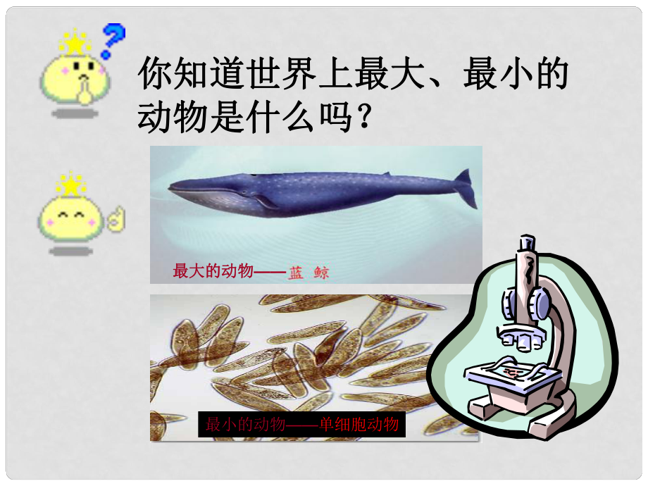 江西省贛縣第二中學(xué)七年級生物上冊 224 單細(xì)胞生物課件 新人教版_第1頁