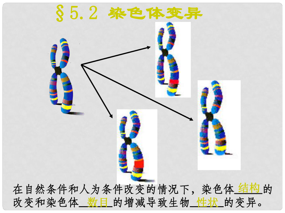 高一生物必修2 染色體變異課件_第1頁(yè)