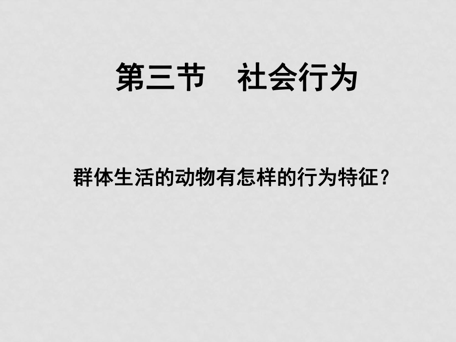 八年级生物 社会行为[整理3套]课件八年级生物 社会行为2 ppt_第1页