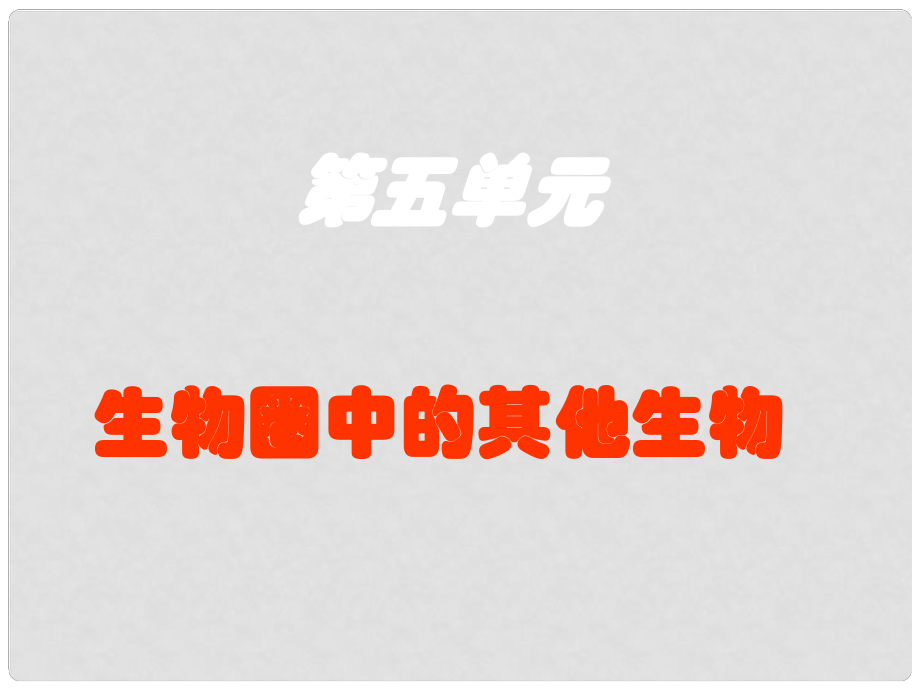 八年級生物上冊 水中生活的動物課件_第1頁