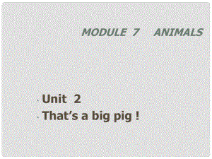 七年級英語Module 7 Unit2 That’s a big pig 課件外研版