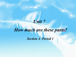 七年級英語How much are these pants 2課件新人教版