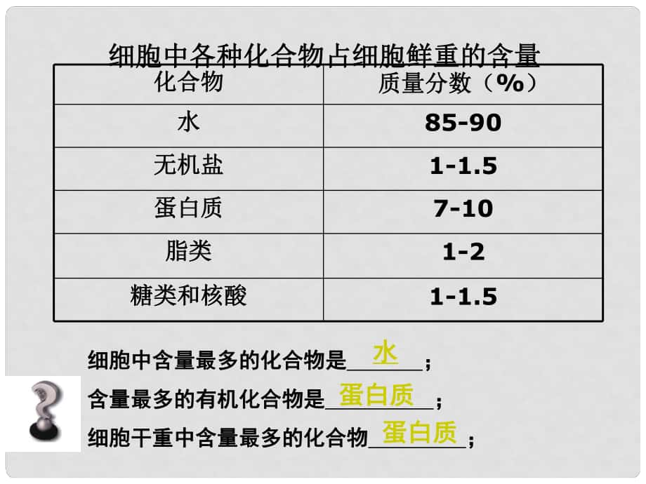 高二生物選修1 蛋白質(zhì) ppt_第1頁