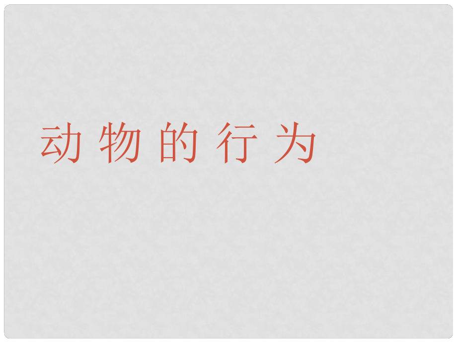 陜西省安康市漢濱區(qū)建民辦事處河西初級中學(xué)八年級生物上冊 動物的行為課件 新人教版_第1頁