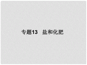 中考化學備考 專題13 鹽和化肥課件