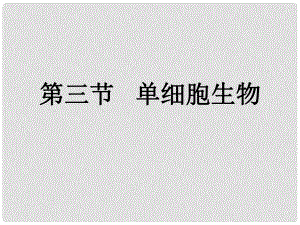 七年級(jí)生物上冊(cè) 第二單元 第二章 第四節(jié) 單細(xì)胞生物課件 （新版）人教版