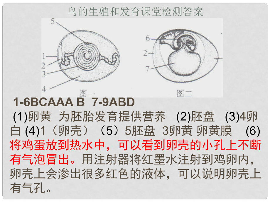 山東省高密市銀鷹文昌中學(xué)八年級(jí)生物上冊(cè) 4.3.1 嬰兒的誕生課件 濟(jì)南版_第1頁