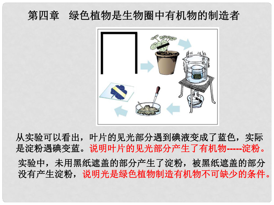 山東省臨沂市蒙陰縣第四中學(xué)七年級(jí)生物上冊(cè) 第三單元 第四章 綠色植物是生物圈中有機(jī)物的制造者復(fù)習(xí)課件 （新版）新人教版_第1頁(yè)