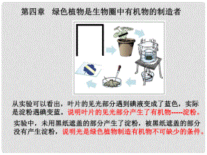 山東省臨沂市蒙陰縣第四中學七年級生物上冊 第三單元 第四章 綠色植物是生物圈中有機物的制造者復習課件 （新版）新人教版