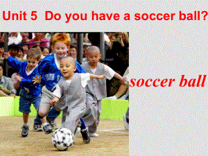 新目標七年級英語上冊 Unit5 Do you have a soccer ball第二課時 課件