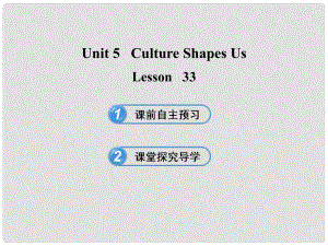 九年級英語下冊 Unit 5 Culture Shapes Us Lesson 33課件 冀教版