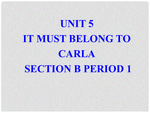 廣西東興市江平中學九年級英語全冊 Unit 5 It must belong to Carla！Section B1課件 人教新目標版