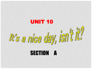 浙江省溫州市第二十中學(xué)八年級(jí)英語(yǔ)下冊(cè) Unit 10 Its a nice day,isnt it Section A課件 人教新目標(biāo)版