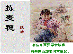 山東省冠縣武訓(xùn)高級(jí)中學(xué)高中語(yǔ)文 撿麥穗課件 粵教版必修1